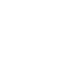 Cortex